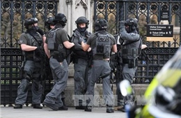 Cảnh sát London tuyển ồ ạt thám tử nghiệp dư chống tội phạm